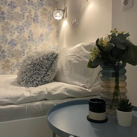 Downtown Mini Apartment บูดาเปสต์ ภายนอก รูปภาพ