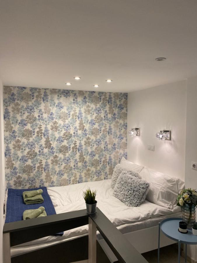 Downtown Mini Apartment บูดาเปสต์ ภายนอก รูปภาพ