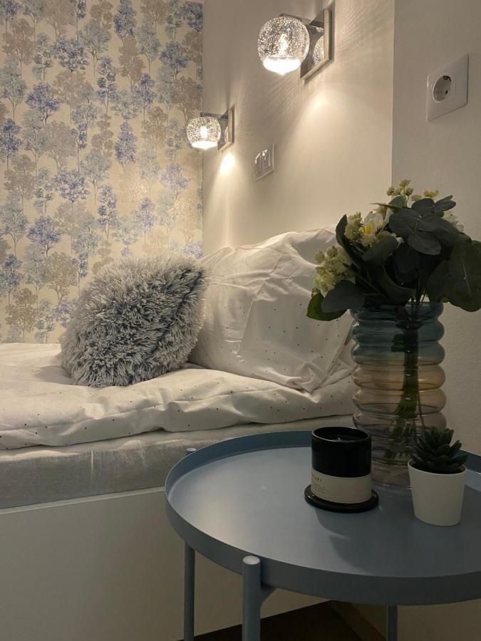 Downtown Mini Apartment บูดาเปสต์ ภายนอก รูปภาพ
